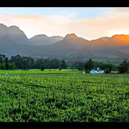 Apartmán Sorbonne 1 - No Loadshedding Franschhoek Exteriér fotografie