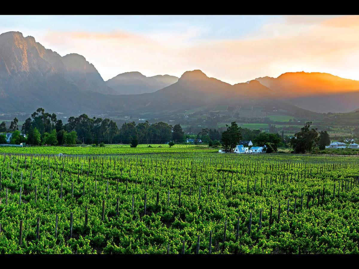 Apartmán Sorbonne 1 - No Loadshedding Franschhoek Exteriér fotografie